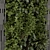 Natural Wood Indoor Vertical Garden 3D model small image 5