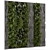 Natural Wood Indoor Vertical Garden 3D model small image 6