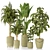 Premium Indoor Plant Collection 135 3D model small image 1