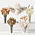 Boho Chic Pampas Grass Decor 3D model small image 1