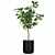 Exquisite Ficus Lyrata Plant Collection 3D model small image 2