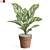 Premium Plant Collection Set 766 3D model small image 1