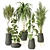 Modern Indoor Plant Collection 3D model small image 1