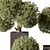 Boxed Outdoor Topiary Plant 3D model small image 2