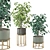 3D Indoor Plants Set 480 3D model small image 2