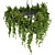 Exquisite Pothos Hanging Plant 3D model small image 2