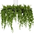 Exquisite Pothos Hanging Plant 3D model small image 5