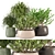 3D Indoor Plants Collection 485 3D model small image 1