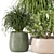 3D Indoor Plants Collection 485 3D model small image 2