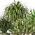 3D Indoor Plants Collection 485 3D model small image 5