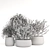 3D Indoor Plants Collection 485 3D model small image 7