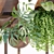 Modern Indoor Plants Collection 132 3D model small image 2