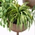 Modern Indoor Plants Collection 132 3D model small image 3