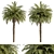 Tropical Palm Tree Set 92 3D model small image 1