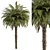 Tropical Palm Tree Set 92 3D model small image 2