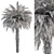 Tropical Palm Tree Set 92 3D model small image 4