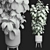 Ficus 2015 3D Model Render 3D model small image 2