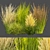 Outdoor Switchgrass Northwind 3D Model 3D model small image 1