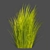 Outdoor Switchgrass Northwind 3D Model 3D model small image 2