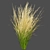 Outdoor Switchgrass Northwind 3D Model 3D model small image 3