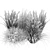 Outdoor Switchgrass Northwind 3D Model 3D model small image 7