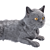 Sleek Gray Cat 4K Texture 3D model small image 3