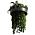 Title: Metal Hanging Indoor Plant 3D model small image 1