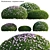 Versatile 3D Plant Models Collection 3D model small image 1