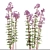 Joe Pye Weed Plants Set 3D model small image 2