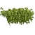  Bush Ivy Outdoor Plant 3D model small image 3