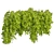  Bush Ivy Outdoor Plant 3D model small image 4