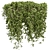  Bush Ivy Outdoor Plant 3D model small image 5