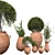 Botanical Beauties in Clay Pots 3D model small image 1