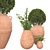 Botanical Beauties in Clay Pots 3D model small image 19