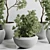 Concrete Vase Plant Collection Outdoor 3D model small image 4