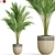  Botanical Collection 775 3D model small image 1