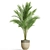  Botanical Collection 775 3D model small image 2