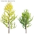 Versatile 3D Ginkgo Tree Models 3D model small image 1