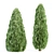 Emerald Thuja Tree 3D Model 3D model small image 4