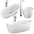 Freestanding Bathtub and Faucet Set 3D model small image 1