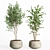 Modern Concrete Pot Indoor Plants 3D model small image 2