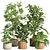 33-Piece Indoor Plant Set 3D model small image 1