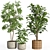 33-Piece Indoor Plant Set 3D model small image 2