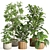 33-Piece Indoor Plant Set 3D model small image 7