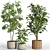 33-Piece Indoor Plant Set 3D model small image 8