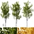  Aspen Trees 3D Models Collection 3D model small image 1