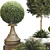 Tropical Outdoor Plant Collection 3D model small image 2