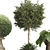 Tropical Outdoor Plant Collection 3D model small image 5