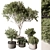  429 Indoor Plant Set (Vray) 3D model small image 1