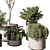  429 Indoor Plant Set (Vray) 3D model small image 3